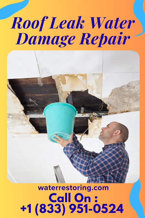 Roof Leak Water Damage Repair in Whipholt, MN