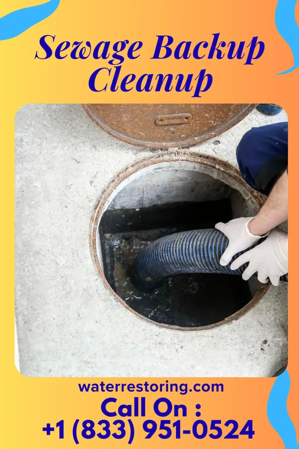 Sewage Backup Cleanup in Whipholt, MN