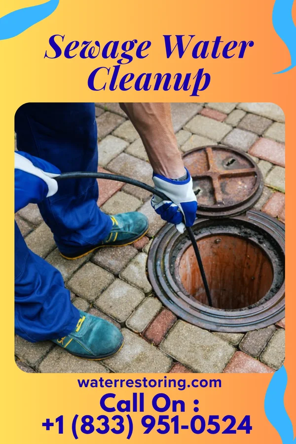 Sewage Water Cleanup in Whipholt, MN
